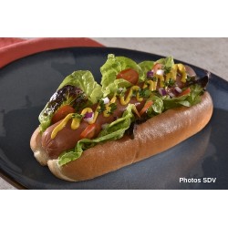  Hot dog Maxi verdura 