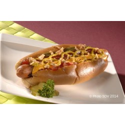  Hot dog Vegas 