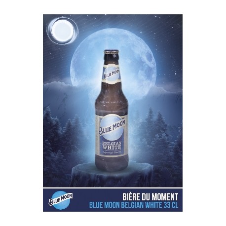 7765 - BIERE BLUE MOON WHITE ALE