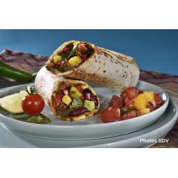  Burrito beef mex 