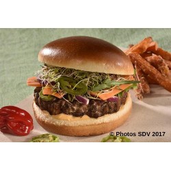  Burger gourmet Andaman 