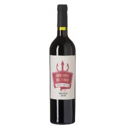 7439 - MALBEC RGE GARGANTA DEL DIABLO