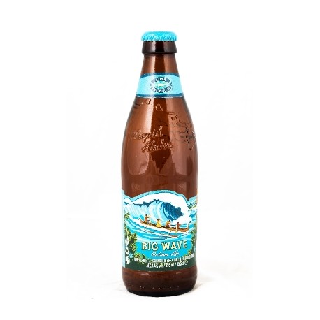 7847 - BIERE BIG WAVE GOLDEN ALE