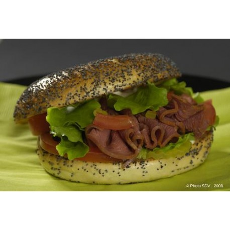 6517 - NEW-YORK BAGEL PAVOT