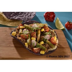  Blue tostadas chicken 