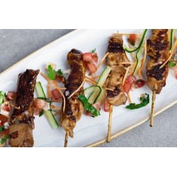 5739 - BROCHETTES DE POULET YAKITORI