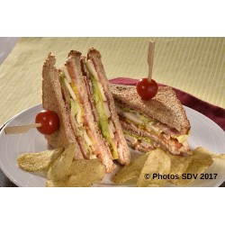  Club sandwich poulet bacon 