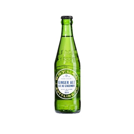 6860 - GINGER ALE SODA