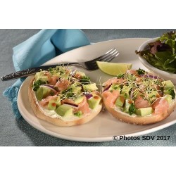  Bagel en tartine avocat saumon redhot 